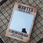 آینه پینترستی تحت تعقیب WANTED