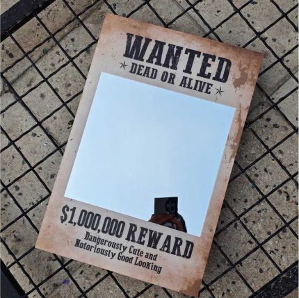 آینه پینترستی تحت تعقیب WANTED