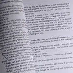 کتاب داستان زندگی اِیس از انیمه وان پیس | One Piece
