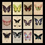 پک پوستر ۱۲ عددی پروانه وینتیج 🦋