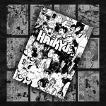 پک 12 عددی مانگا دیواری آبشار سرنوشت ( هایکیو ) | Haikyuu